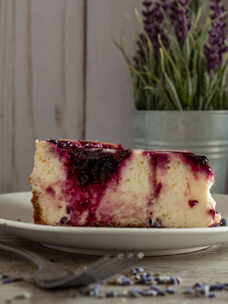 Slice of blackberry cheesecake with fork