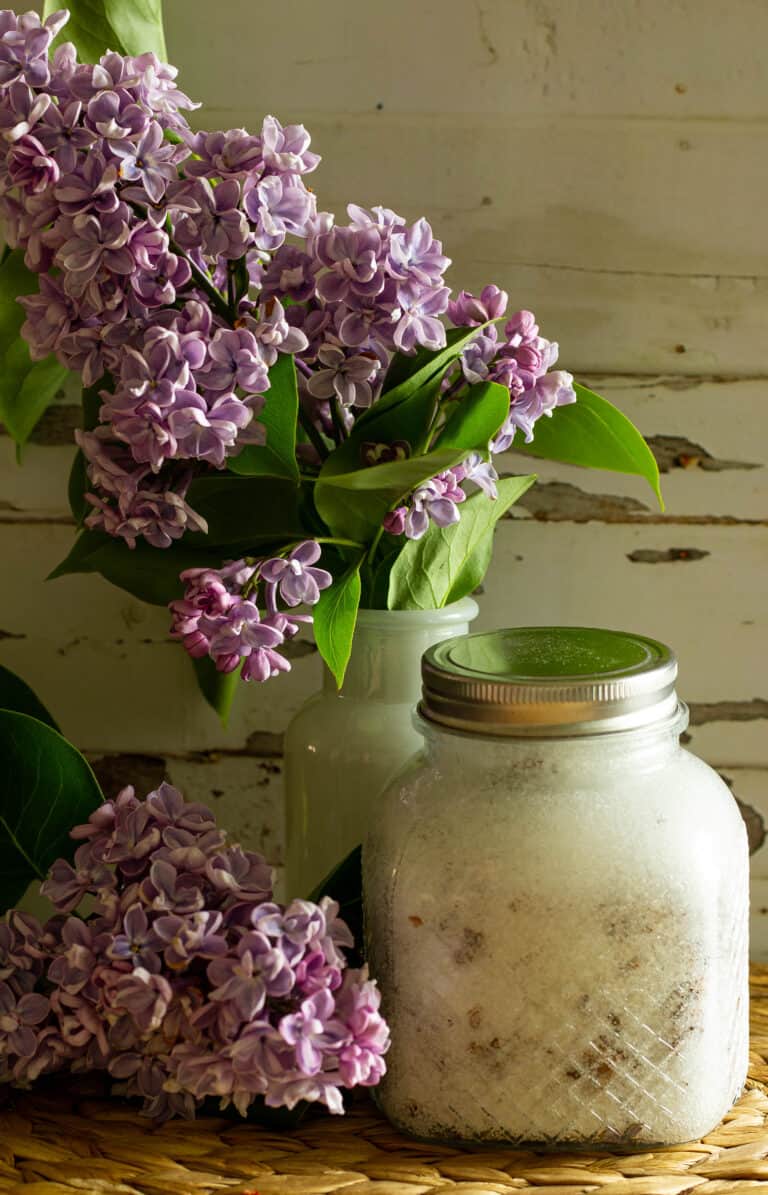 jar of lilac sugar next to vase full of lilacs