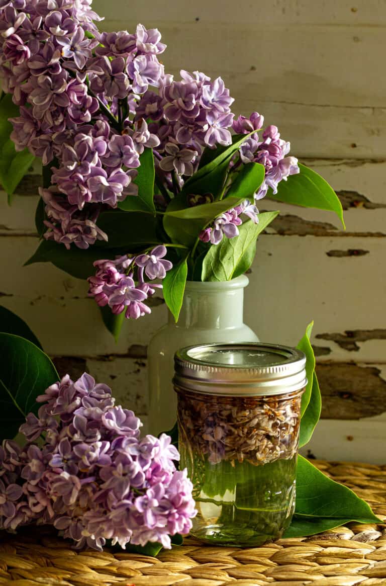 jar of lilac syrup next to vase of lilacs