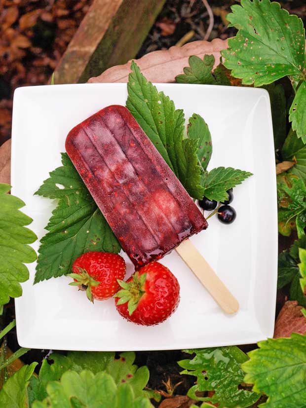 berry popsicle on a white plate