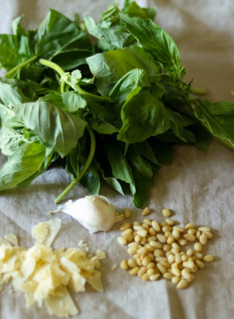 closeup photo of pesto ingredients.