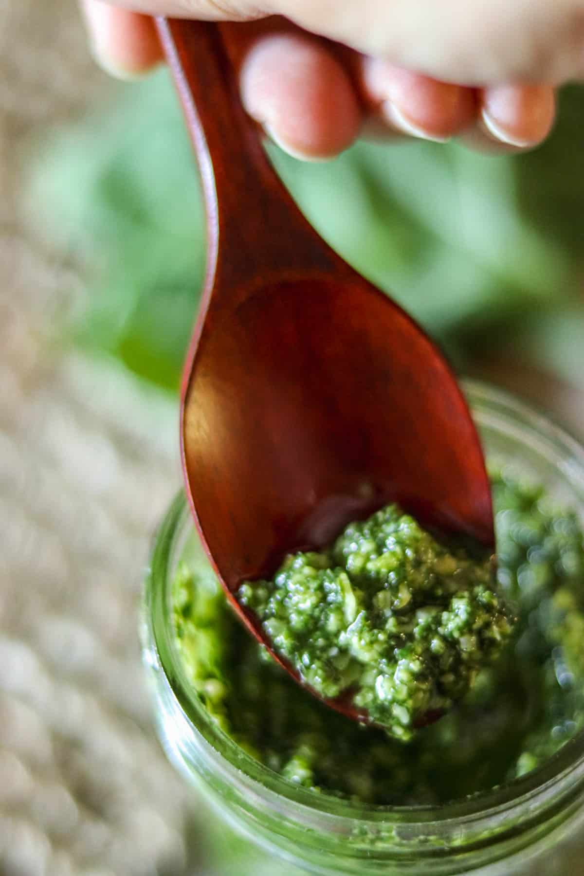 closeup photo of basil on a spoon.