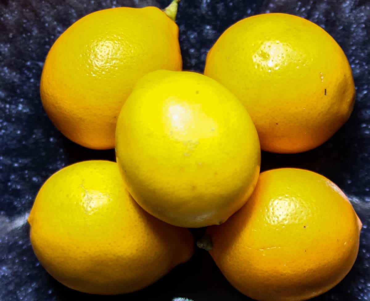 closeup of Meyer lemons in a blue bowl.