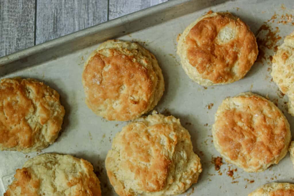 Biscuits on a sheet pan after baking.