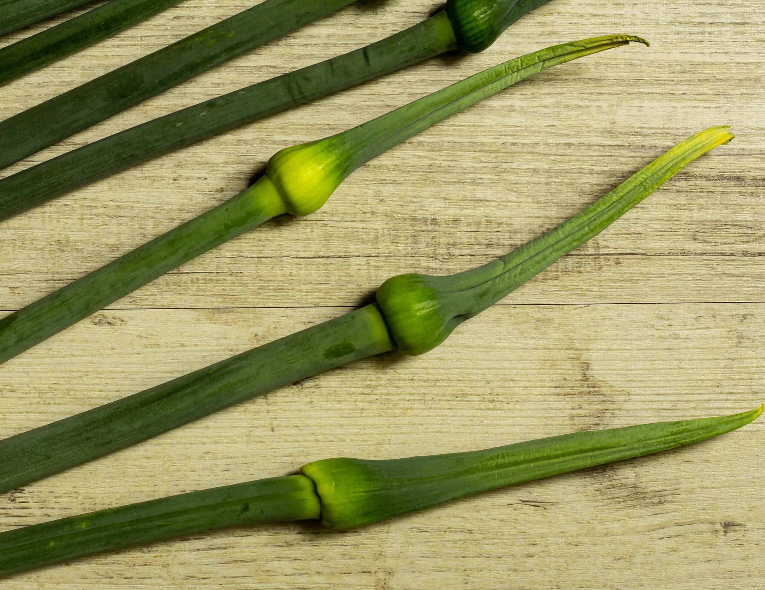 Leek Scapes