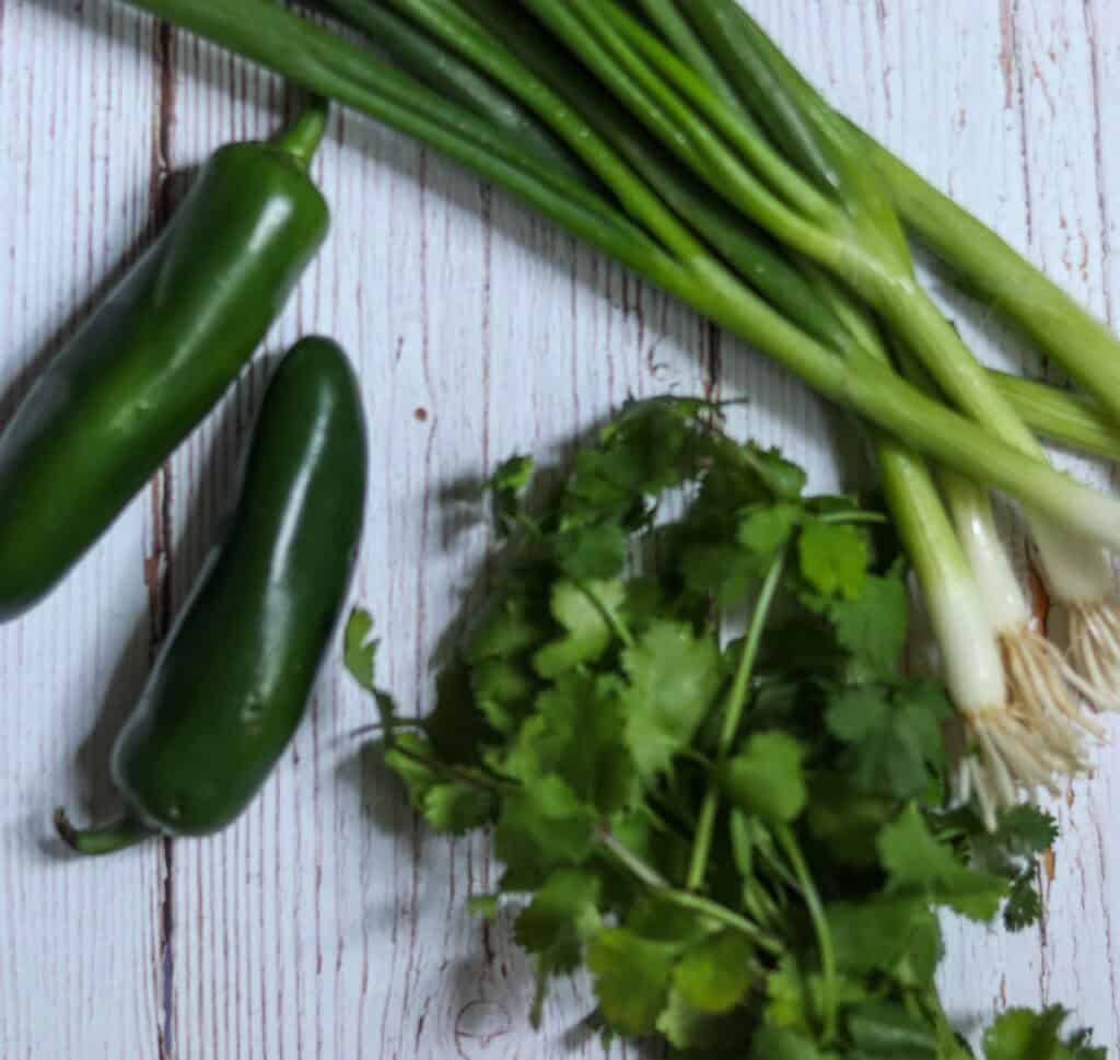 green onions, cilantro, and jalapeno.