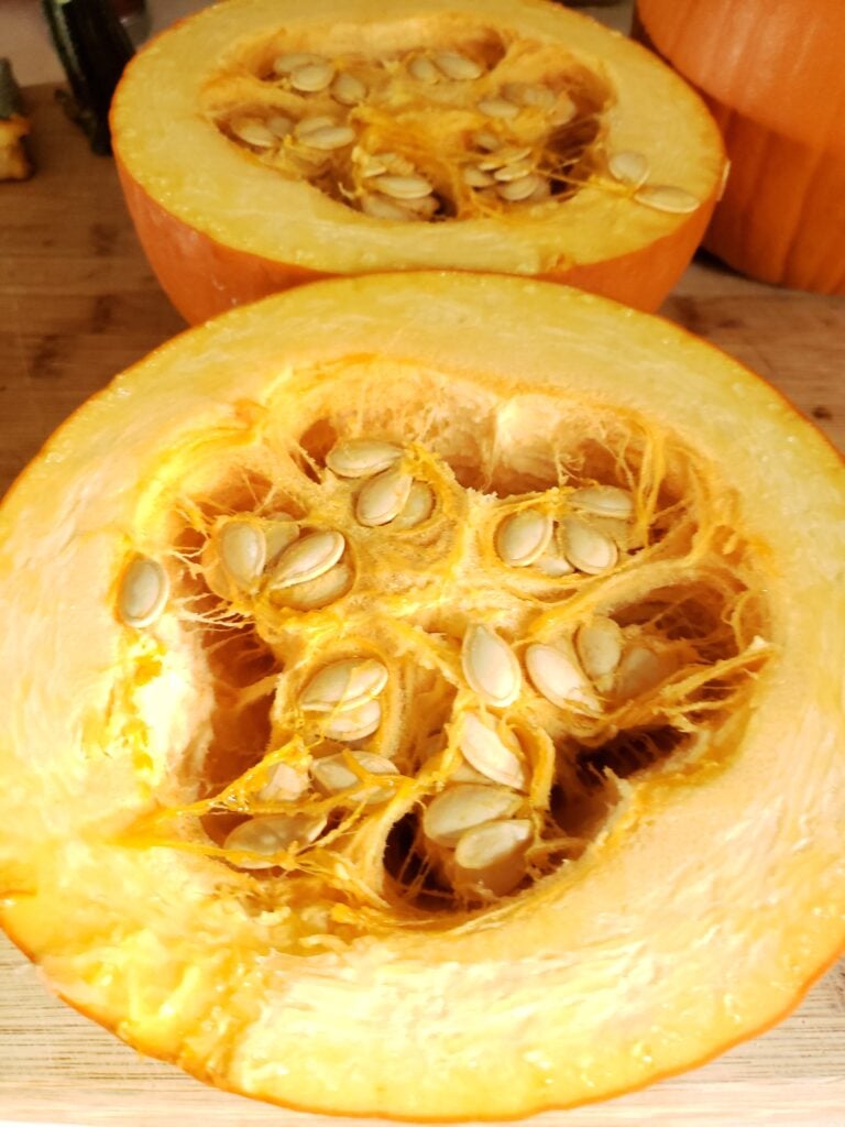 Pumpkins cut in half.