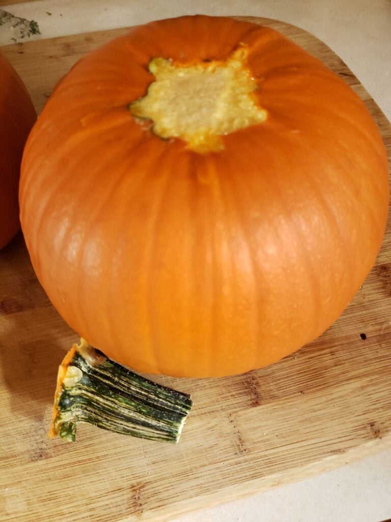 Pumpkin with stem removed.