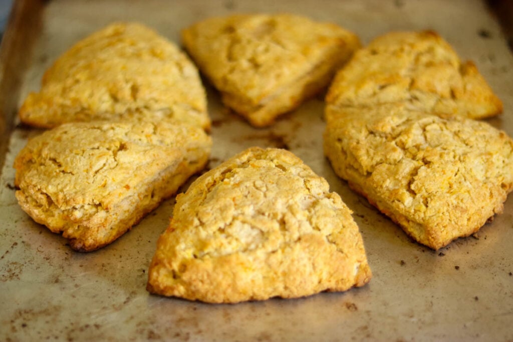 Pumpkin Scones after baking.