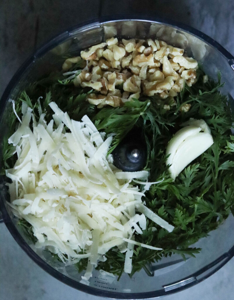 Carrot top Pesto ingredients in the food processor.