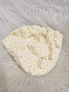 Ricotta after draining.