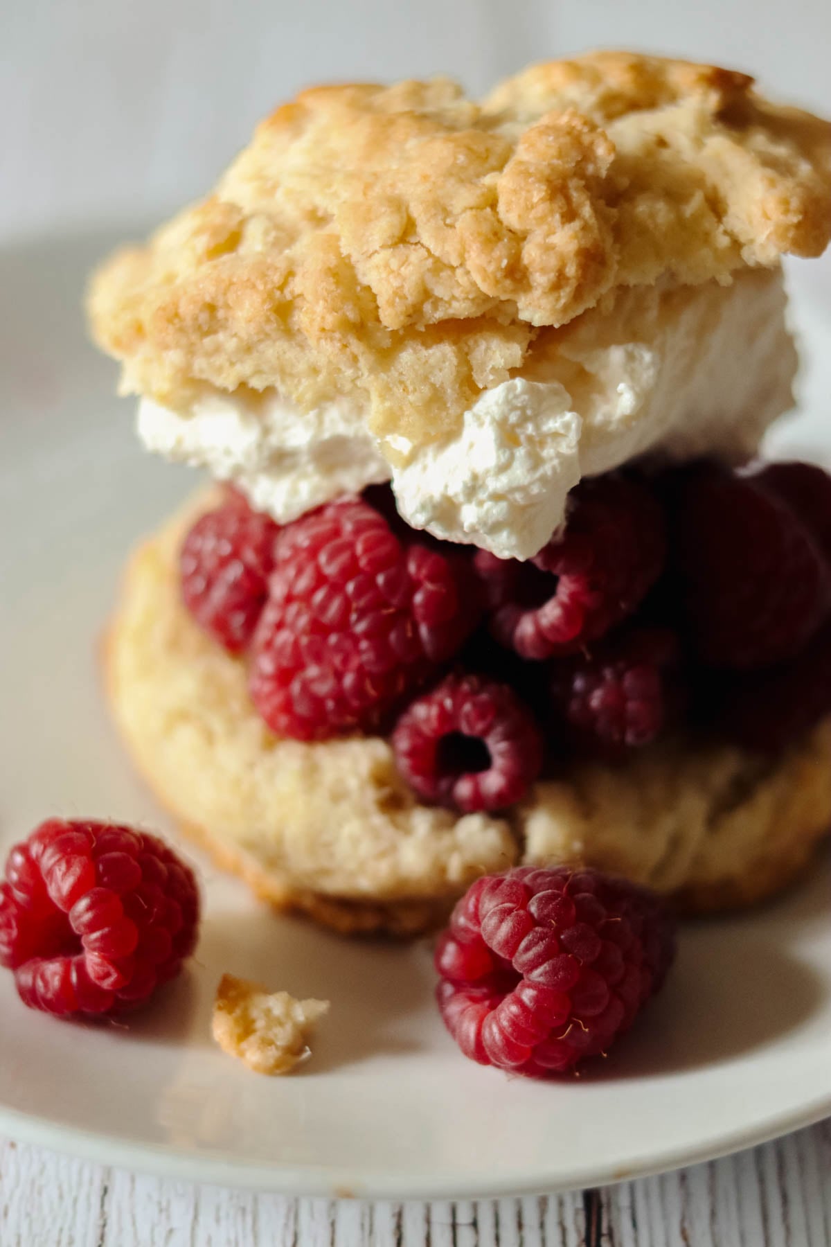 Raspberry shortcake on a white plate with whipped cream.