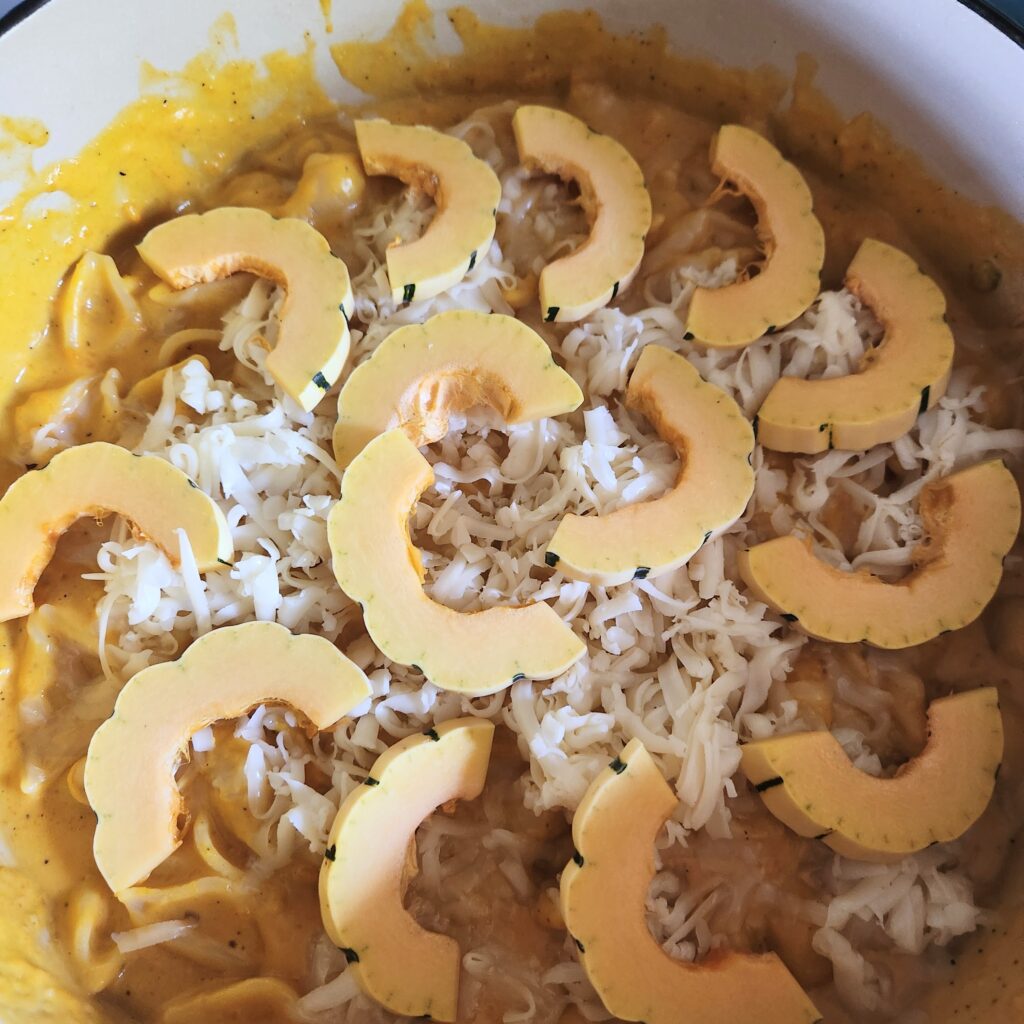 Add squash rings to the top.